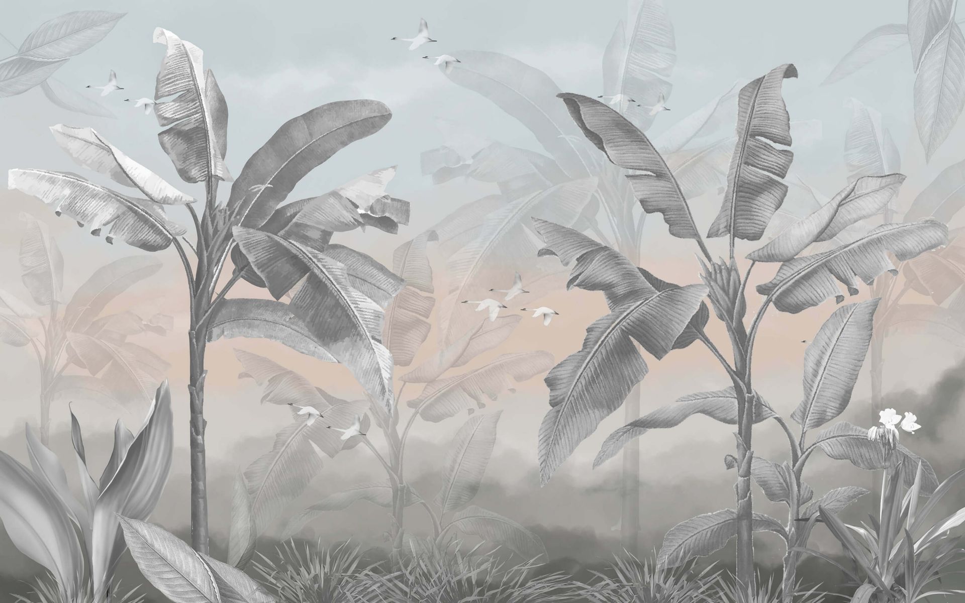 Bananiers tropicaux