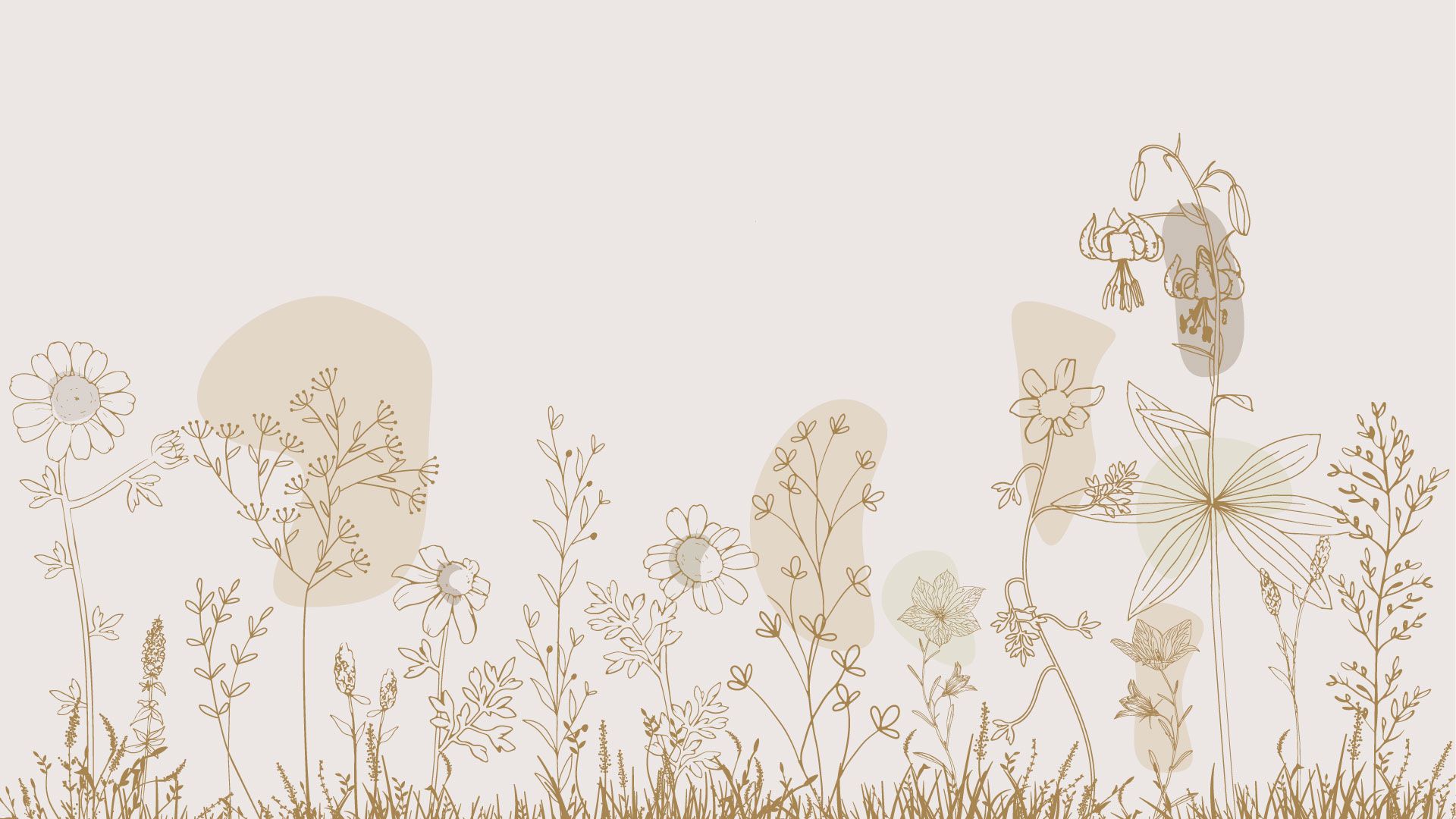 Champ de fleurs haut beige et couleurs de la nature