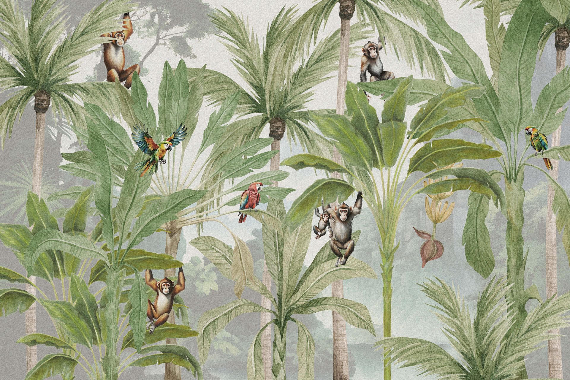 Jungle avec singes et perroquets en couleur Jungle avec singes et perroquets en couleur