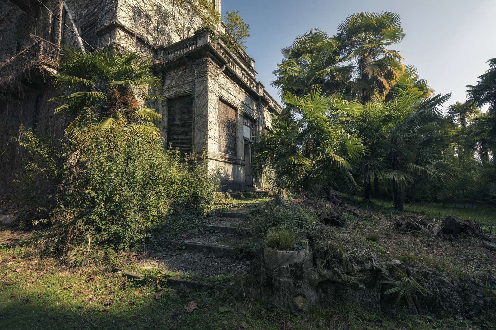Jungle House Jungle House