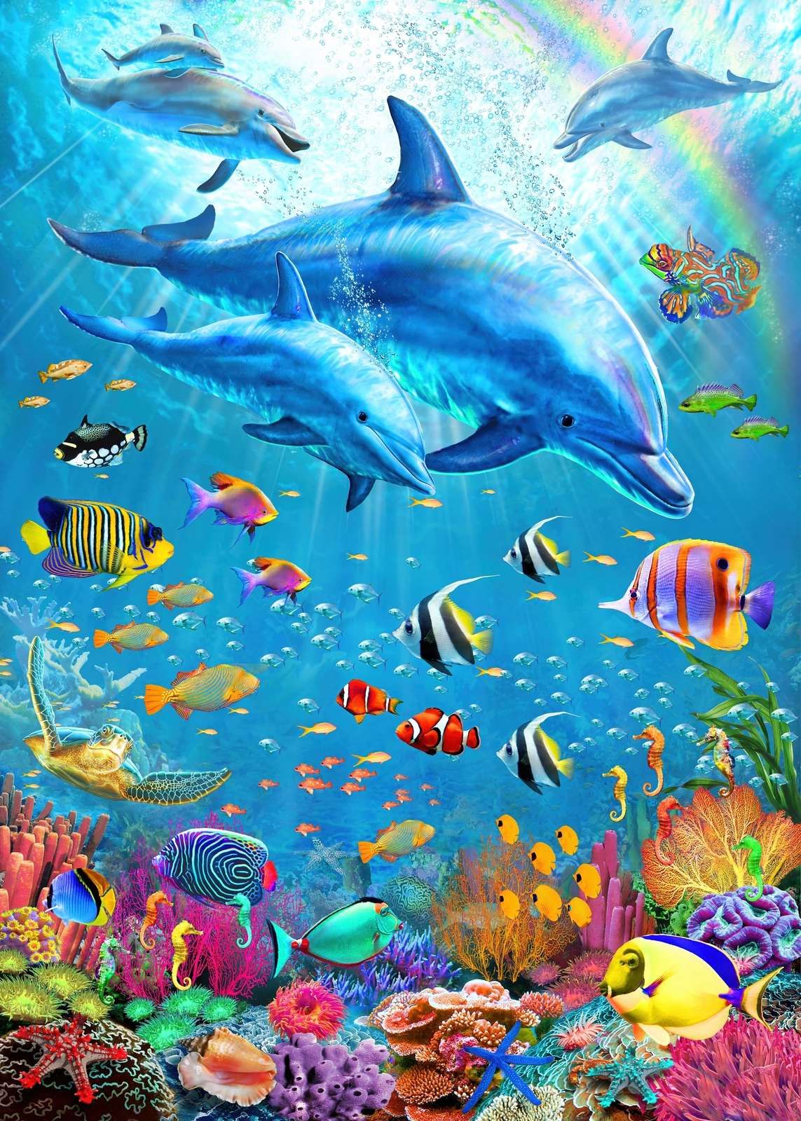 Dolphin Deep Dolphin Deep