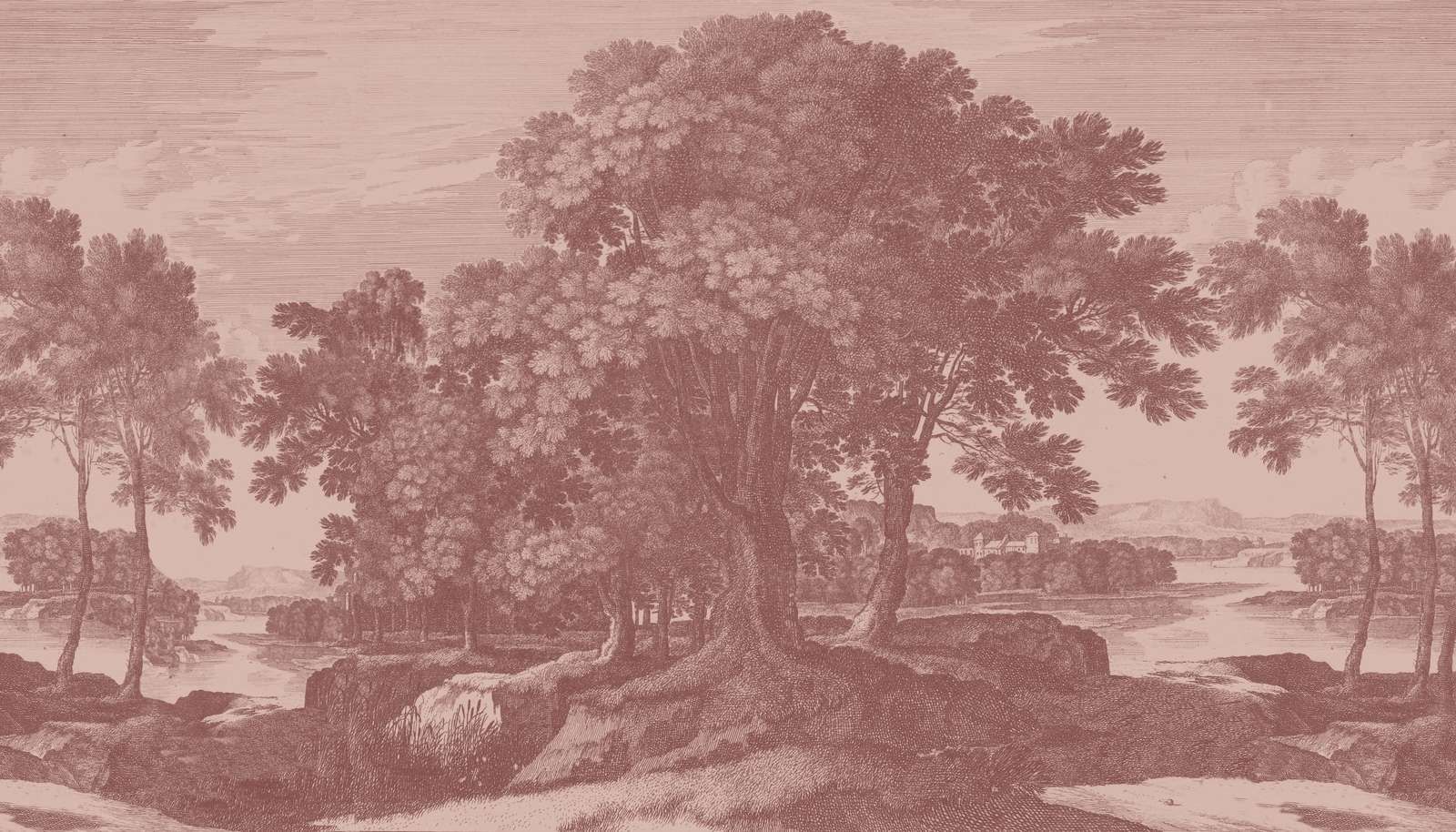Rêve de Terra