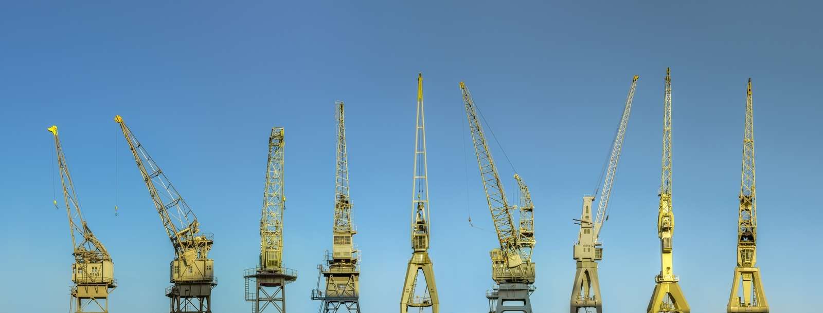 Grues dans le port d'Anvers