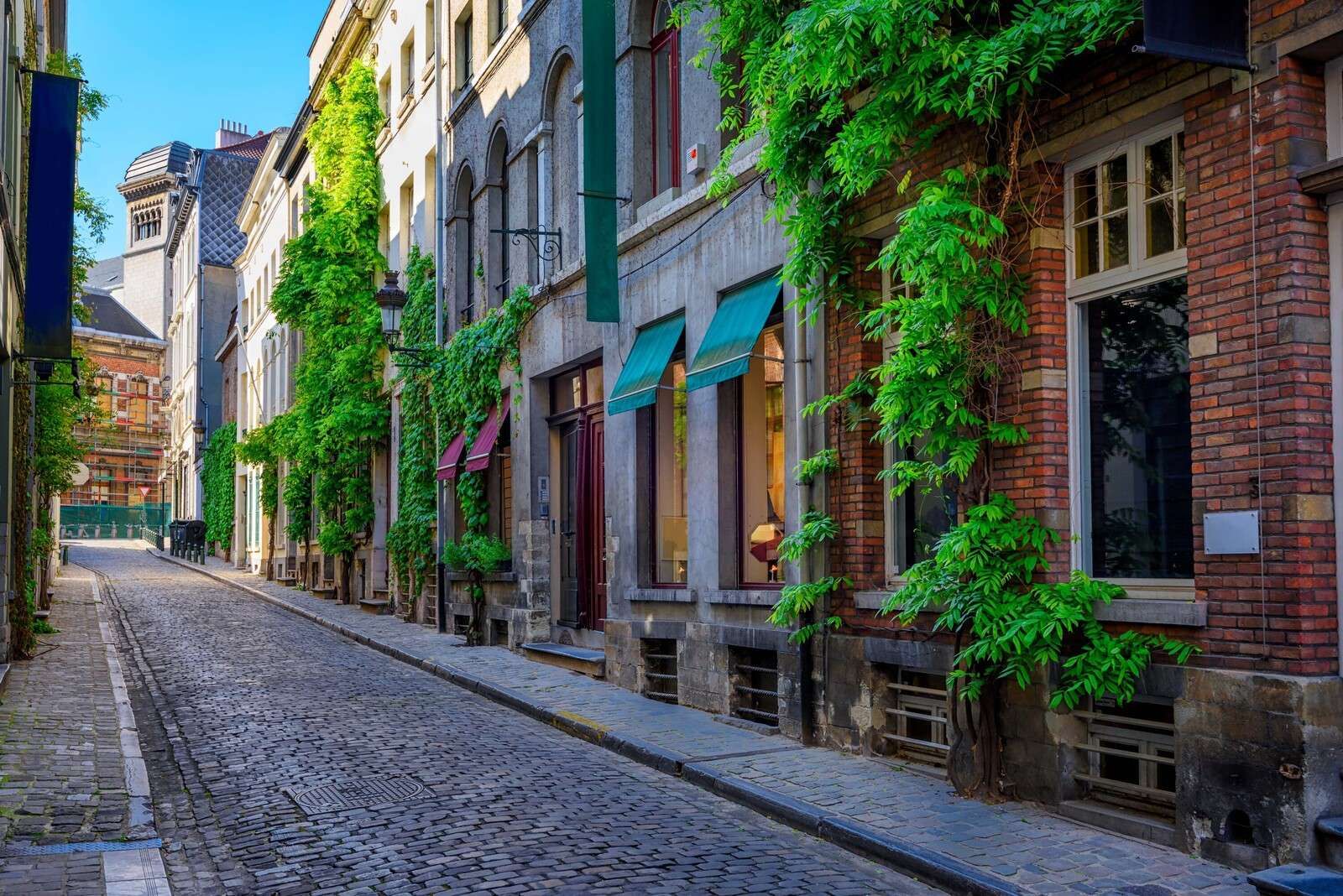 Vieille rue de Bruxelles