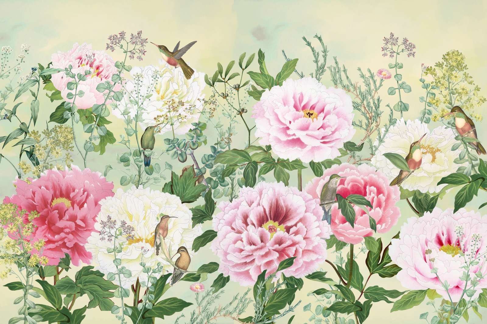 Paradis de Pivoine