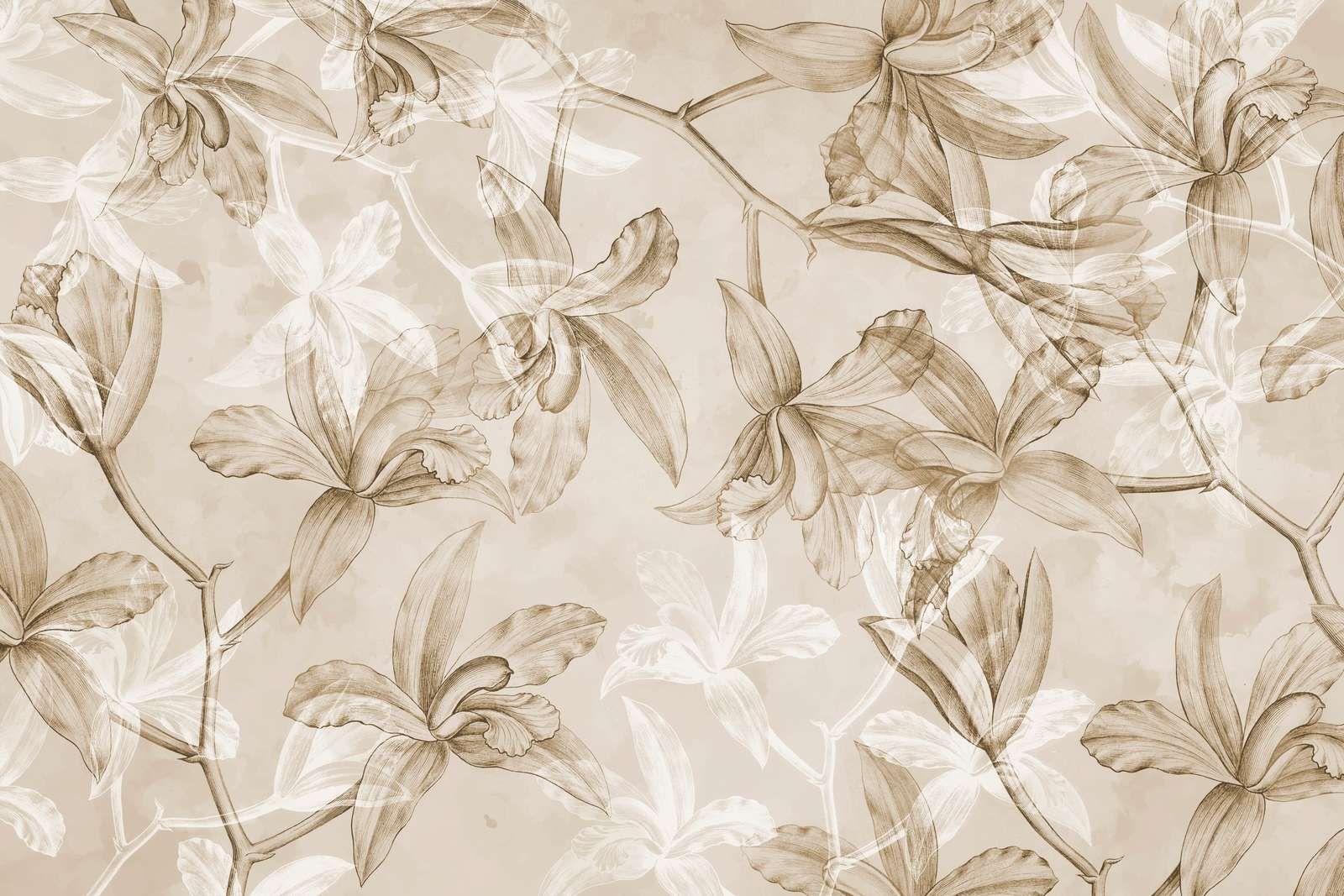 Rêverie d'orchidée sépia