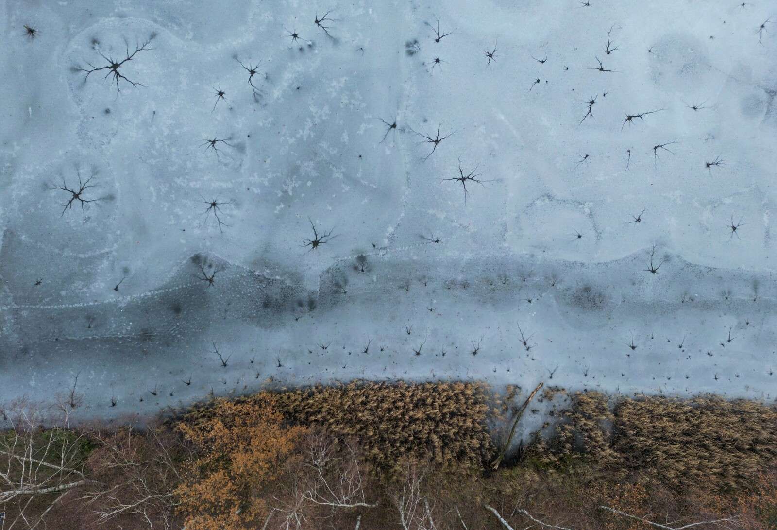 Textiles d'hiver