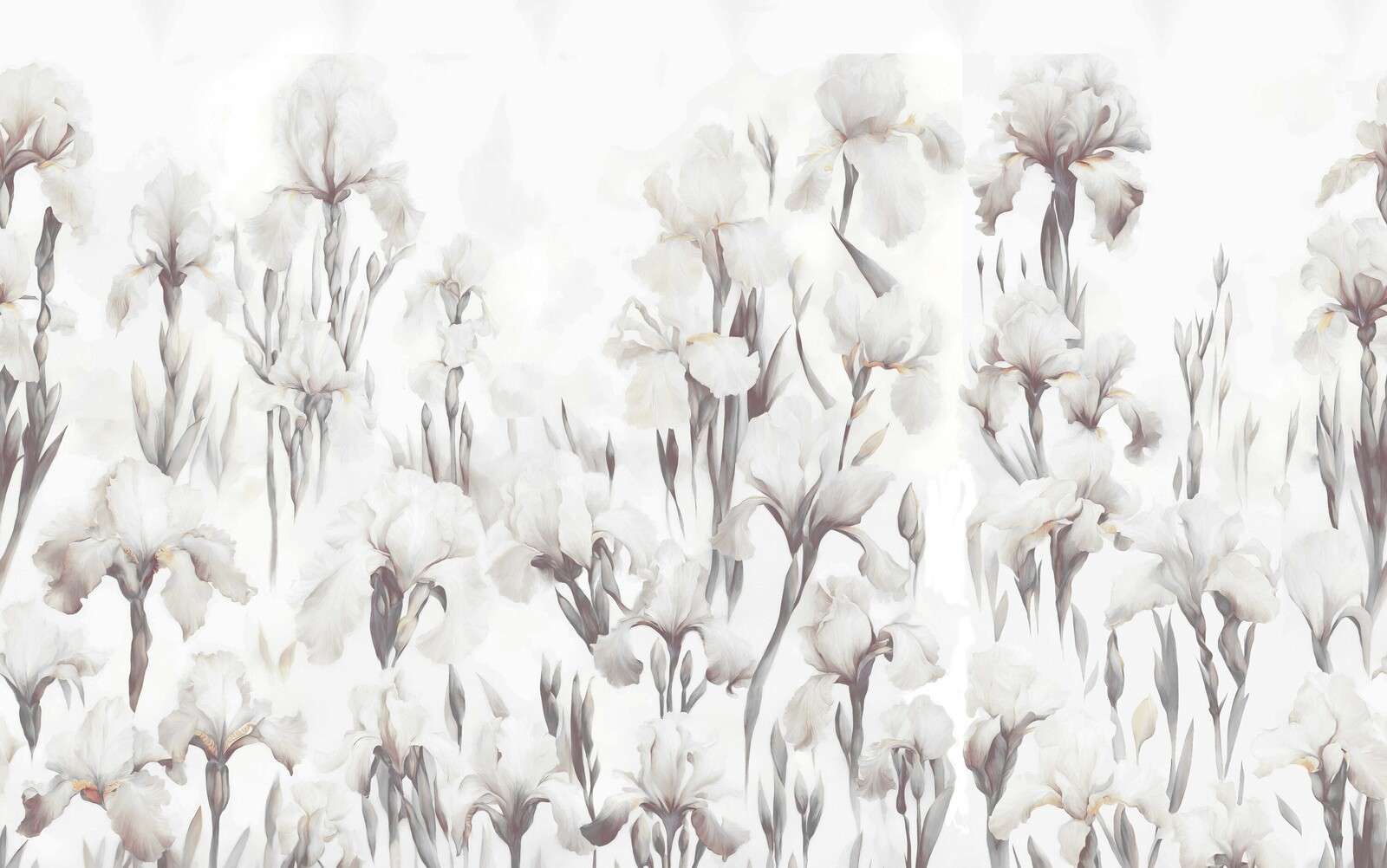 Iris Dansent Beige Muet Sans Couture Iris Dansent Beige Muet Sans Couture