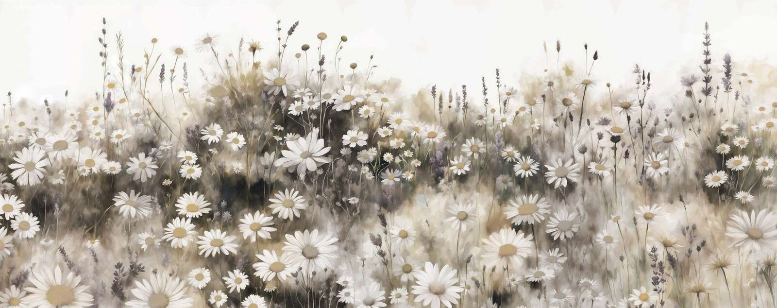 Crème de prairie de marguerites silencieuses