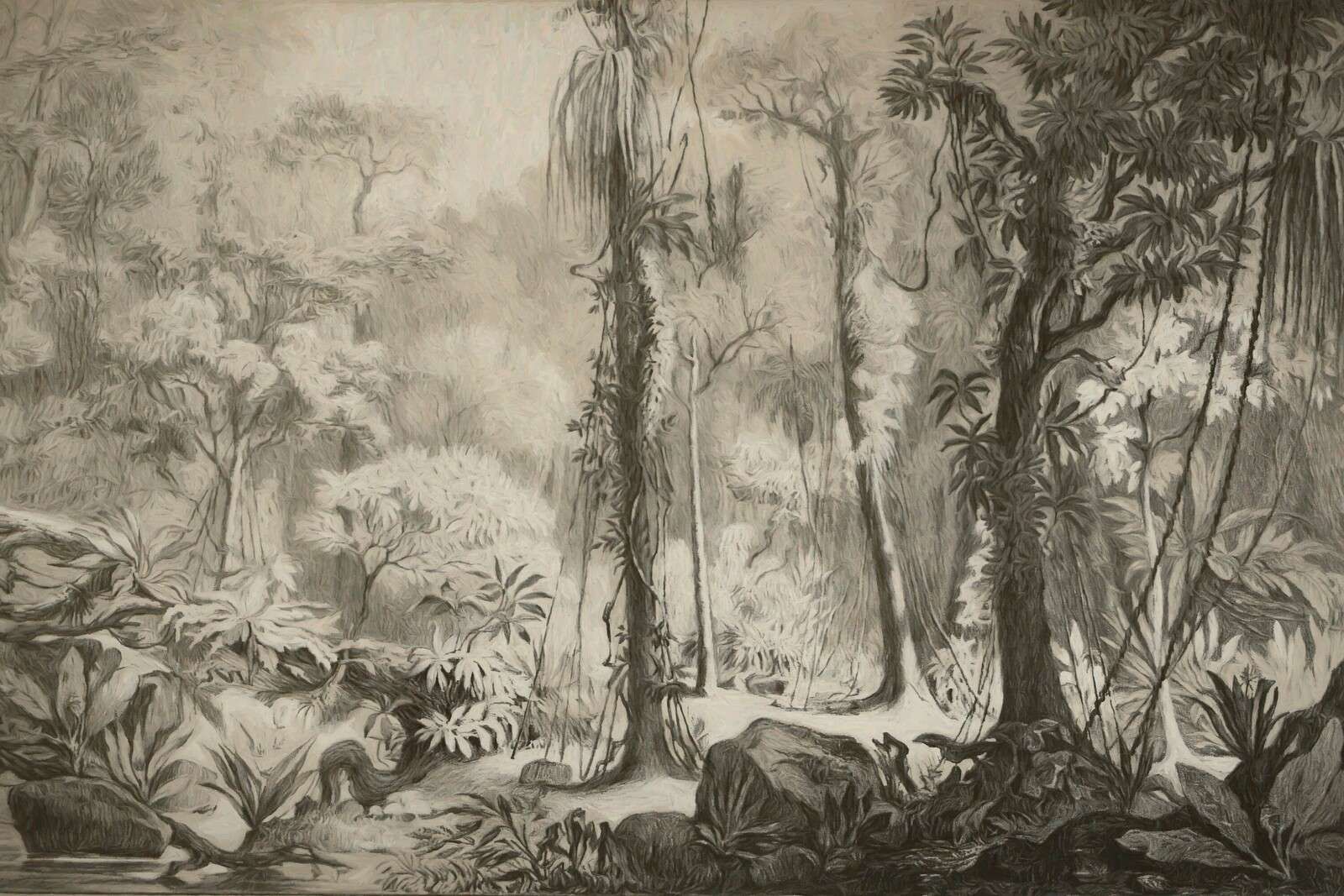 Forêt tropicale - marron