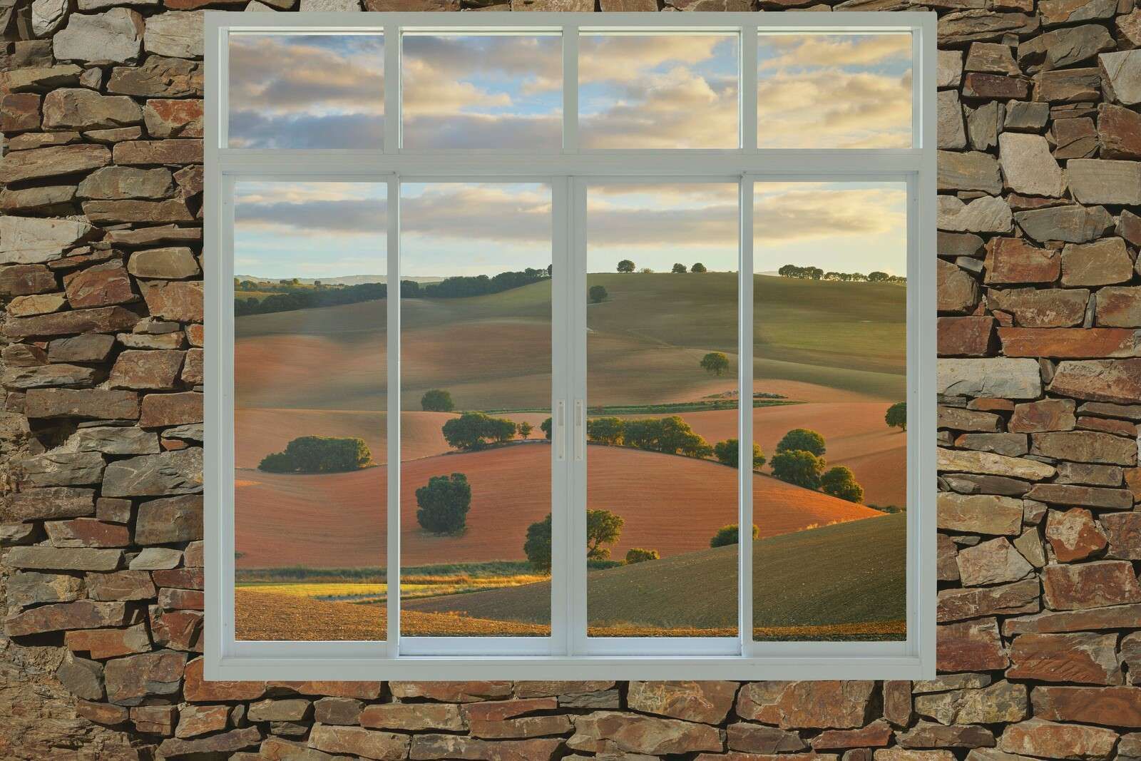 Collines ondulantes dans la lumière du soir