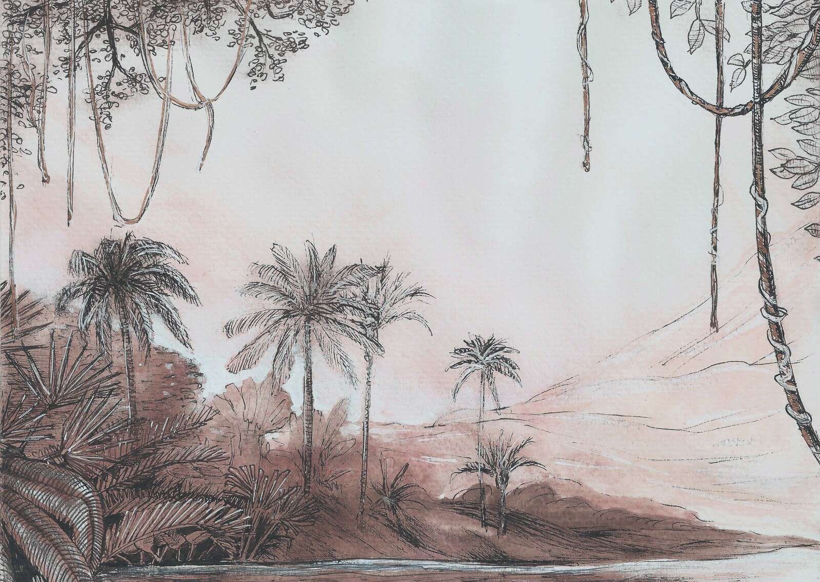 Vallée des palmiers dans la lumière rose