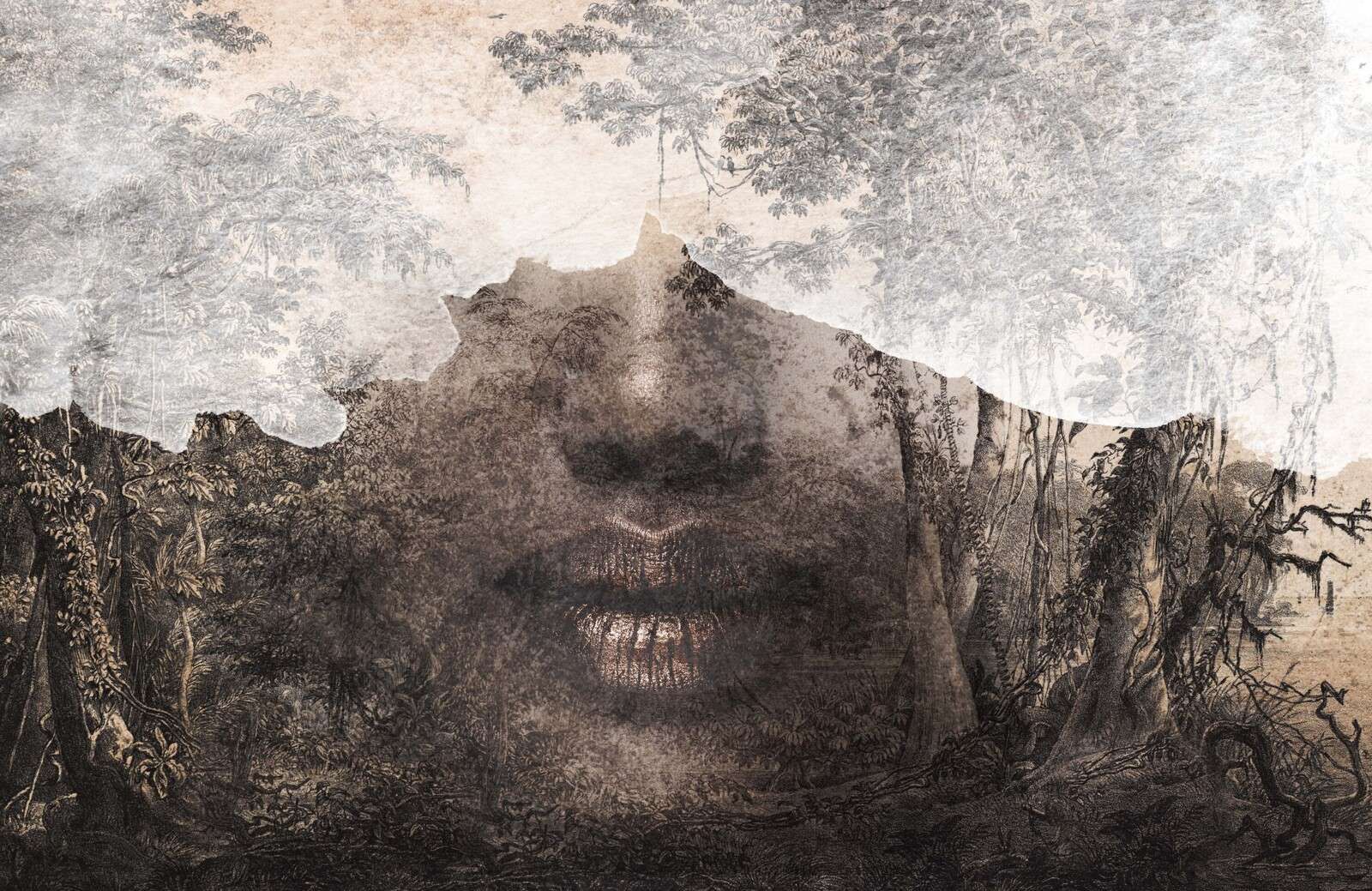 L'âme de la forêt