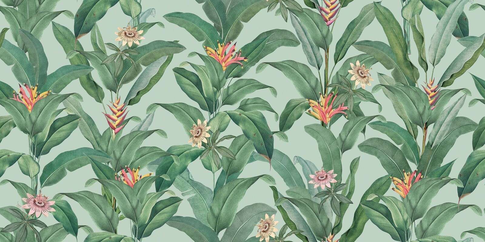 Feuilles tropicales avec héliconia