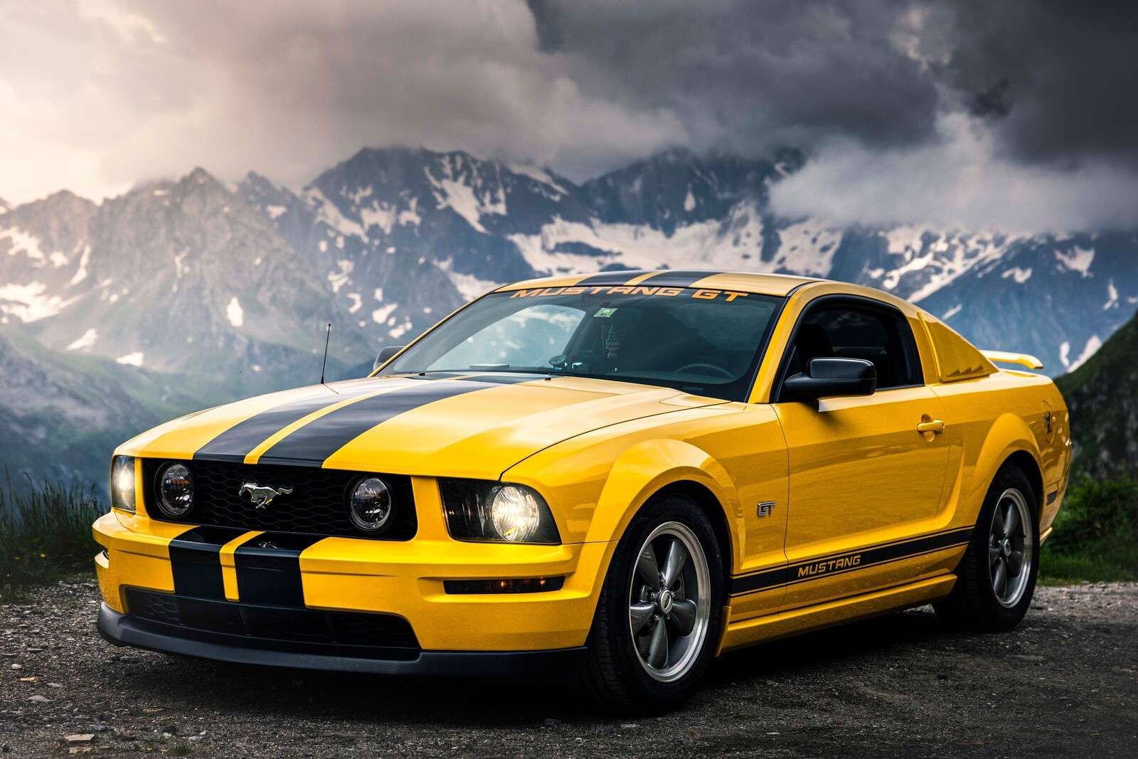 Mustang gelé dans un paysage montagneux