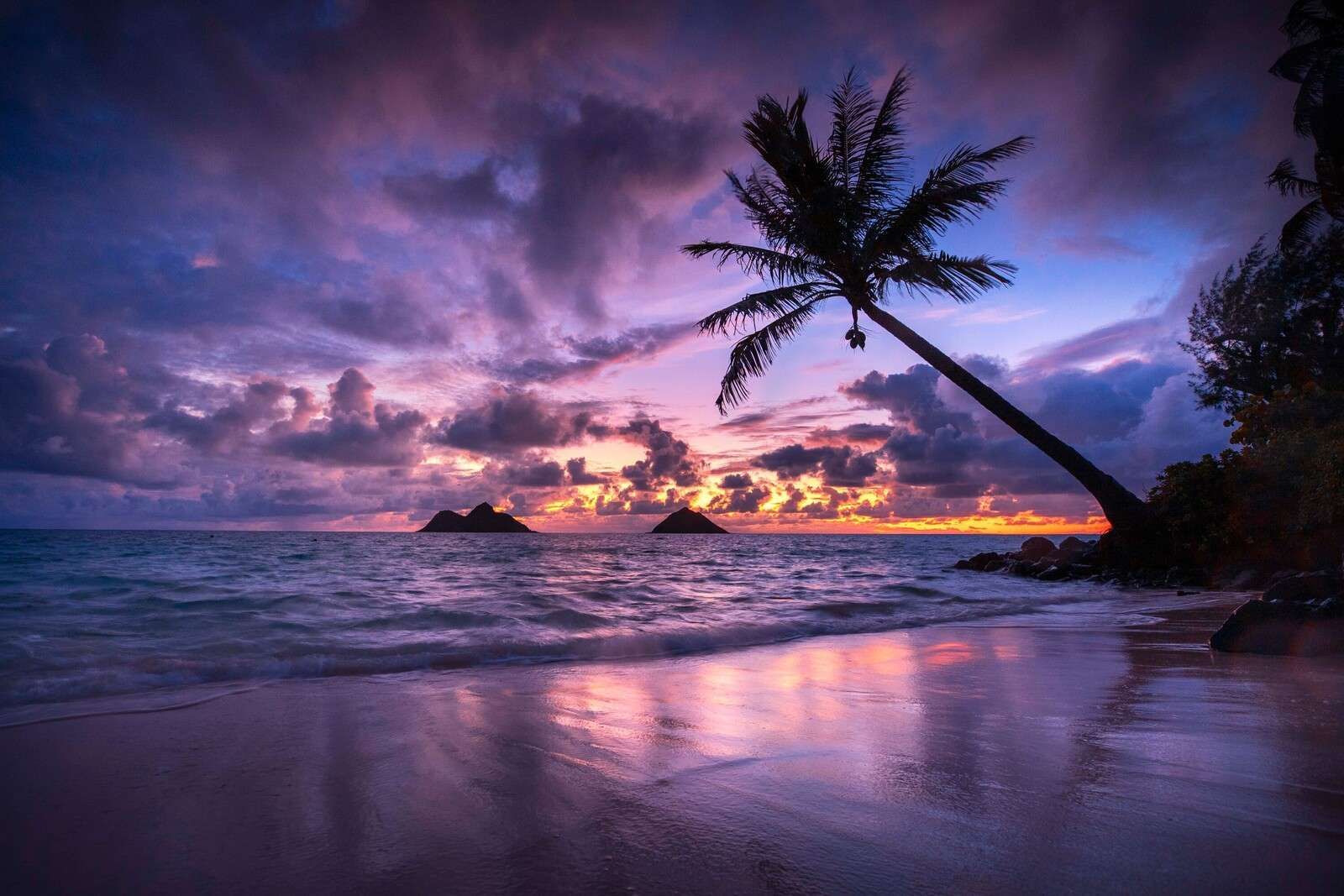 Côte tropicale au coucher du soleil violet