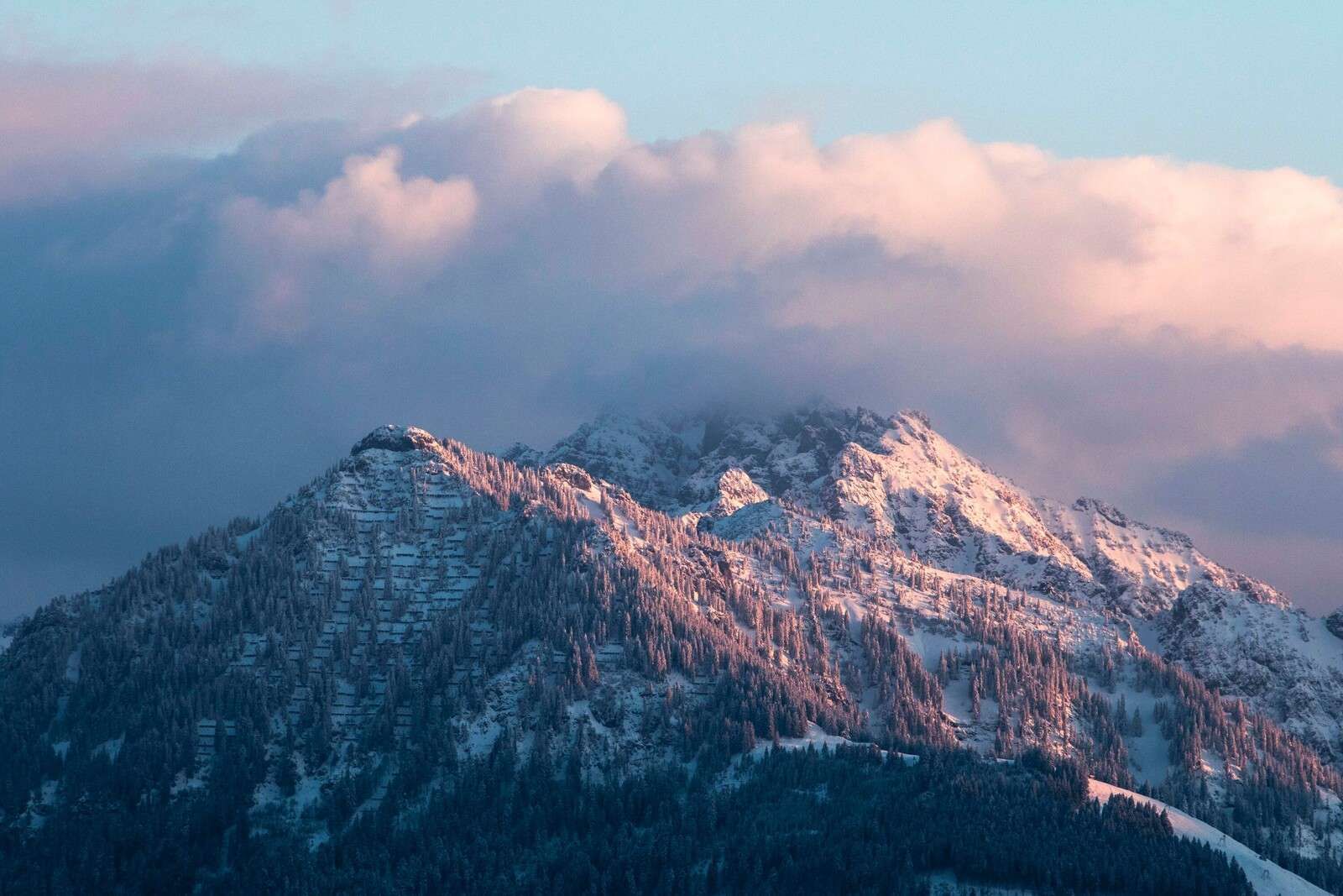 Lumière d'hiver rose sur les sommets des montagnes