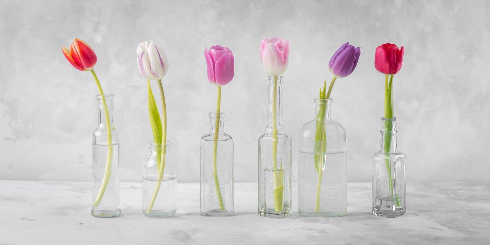 Tulipes dans des bouteilles en verre