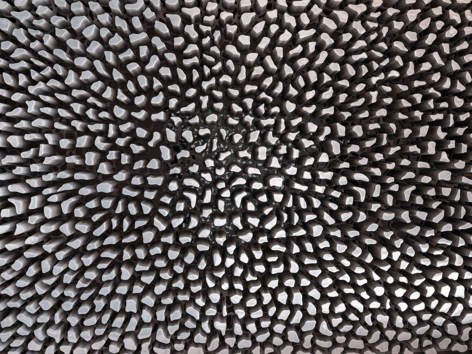surface en bois texturée