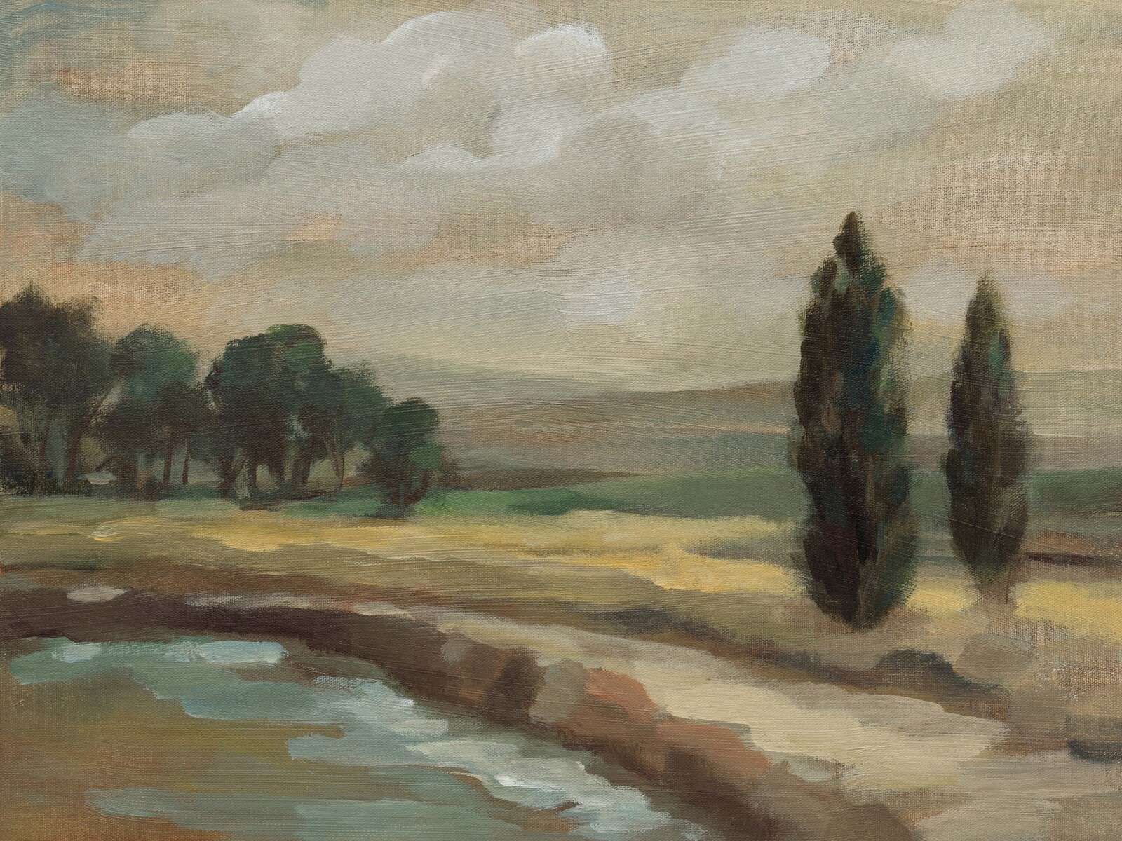 Rivière estivale le long des cyprès.