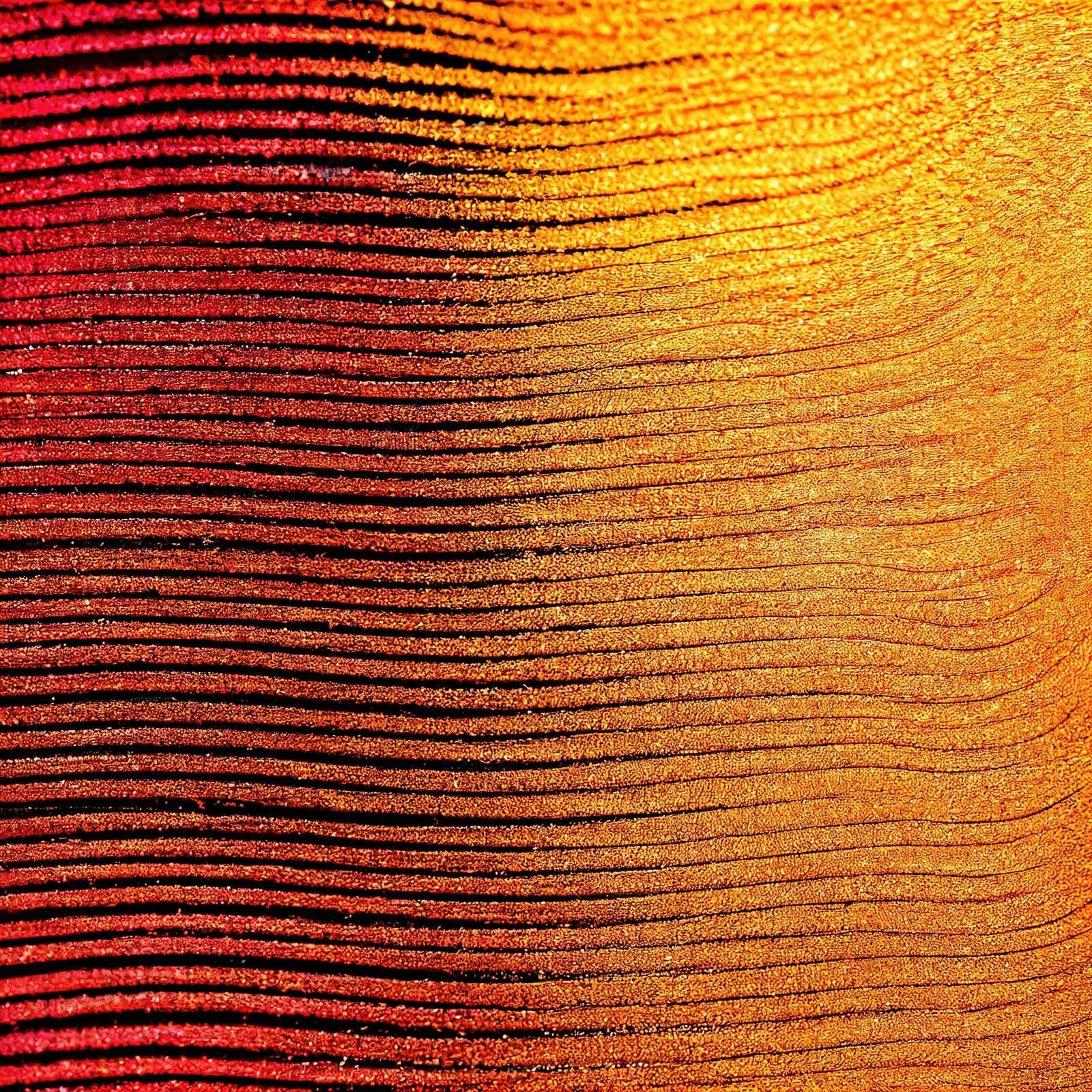 Fleur de safran Macro Cobra