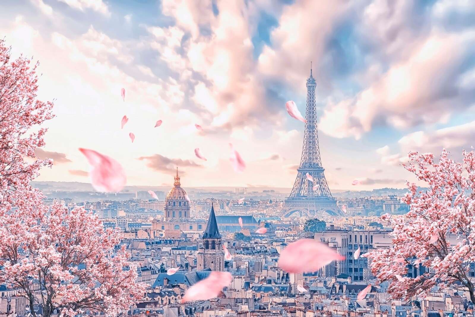 Paris au printemps, plein de fleurs.