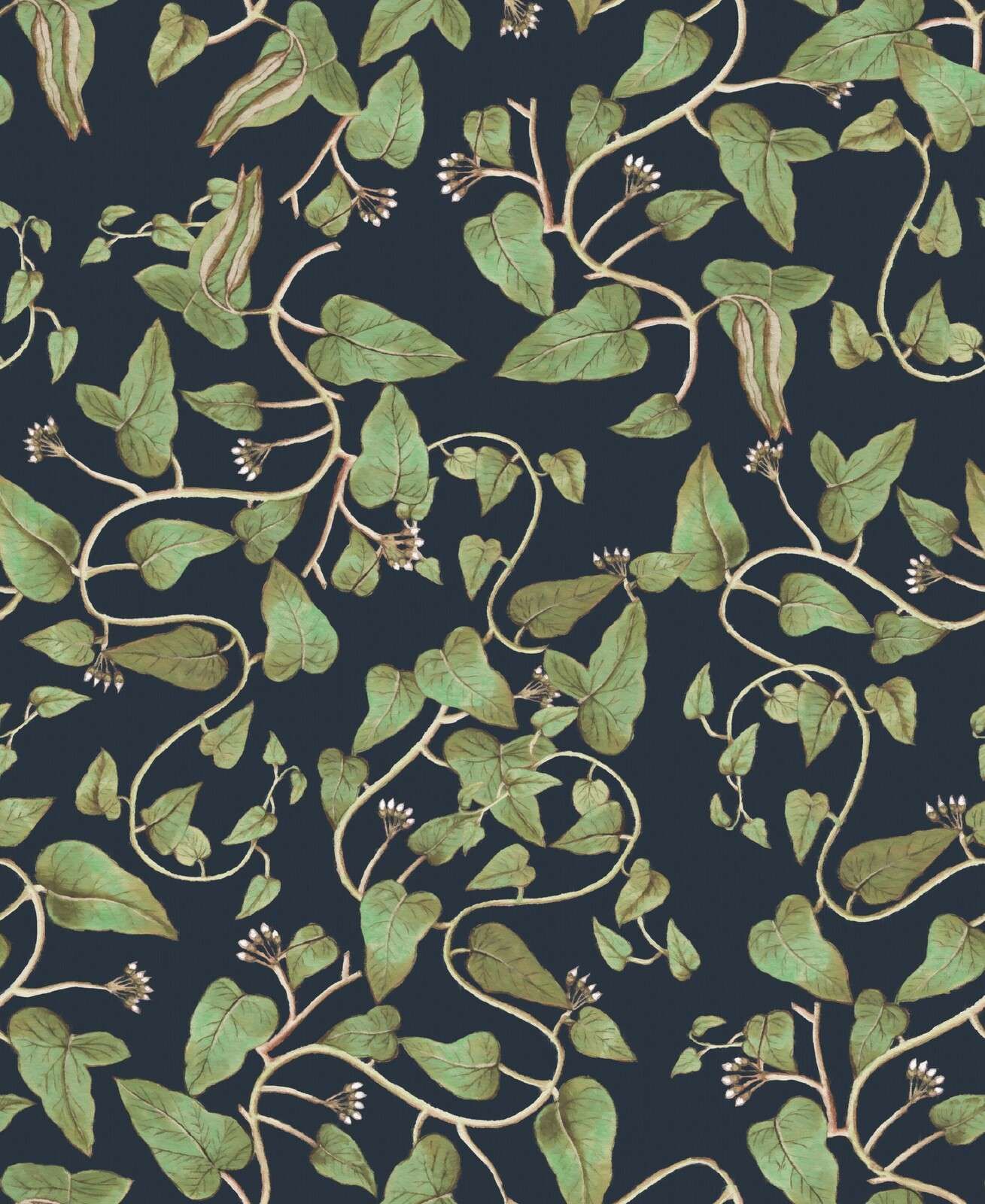 Des lianes de haricots grimpants sur bleu nuit