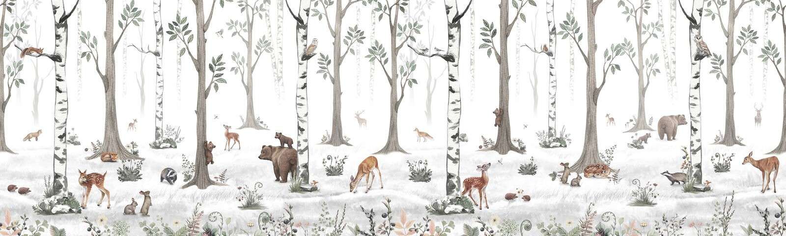 Forêt blanche - Panorama