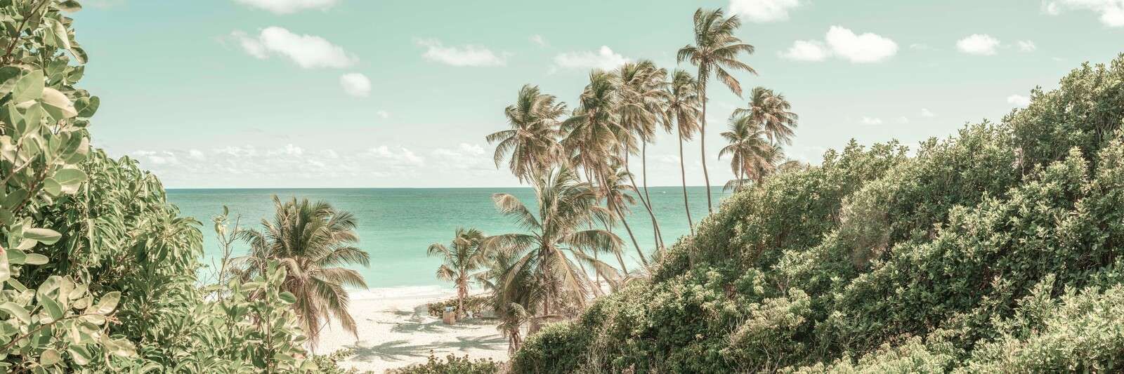 Plage tropicale avec des palmiers ondoyants