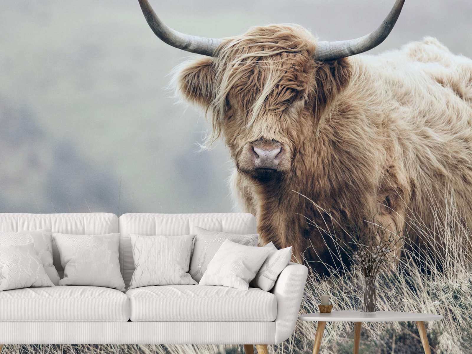 Bétail bovins - Les Highland écossais dans la nature 3