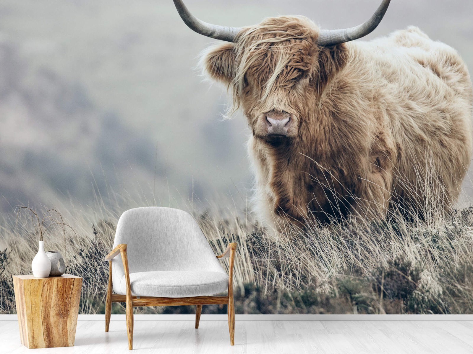 Bétail bovins - Les Highland écossais dans la nature 19